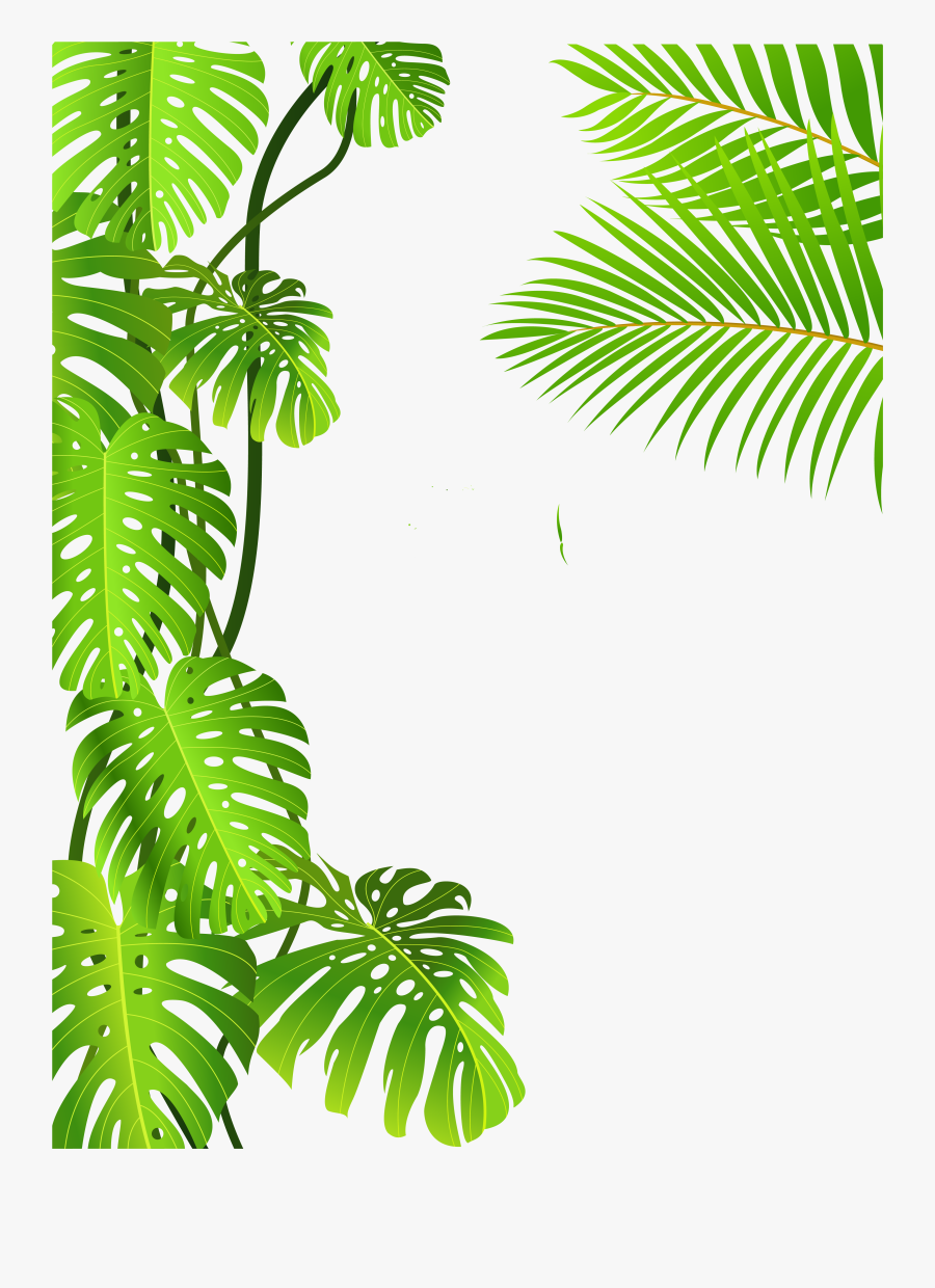 Image Freeuse Royalty Free Clip Art Forest Royaltyfree - Transparent Background Tropical Leaves Png, Transparent Clipart