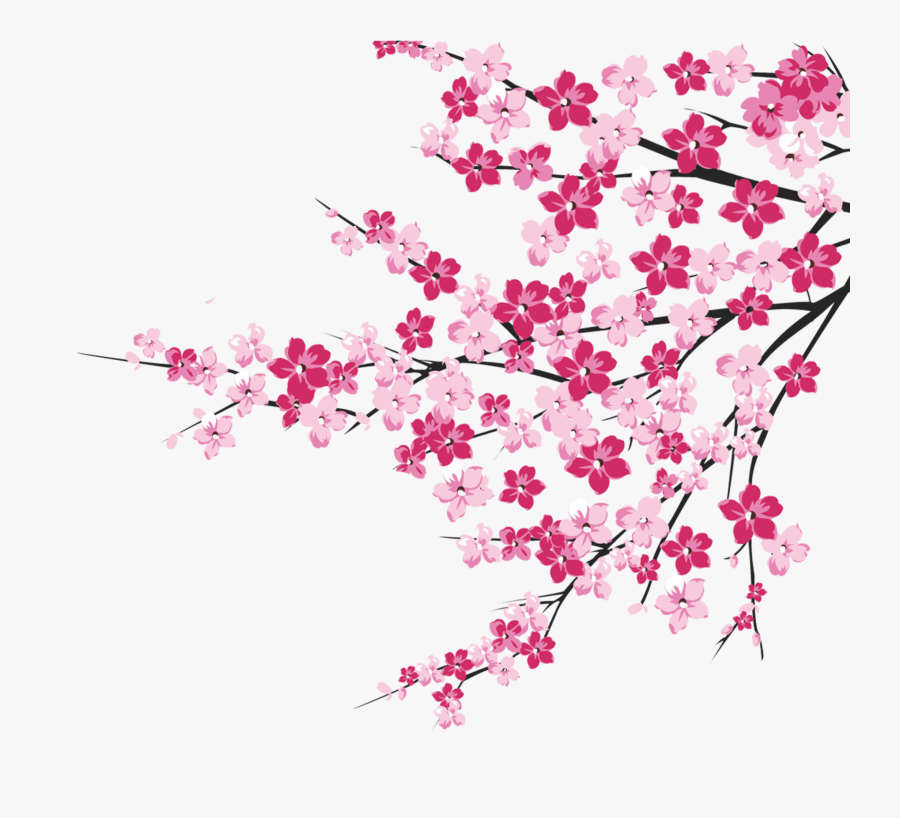64 Cherry Blossom Tree Branch Cliparts For Your Inspiration - Cherry Blossom Tree Clipart, Transparent Clipart