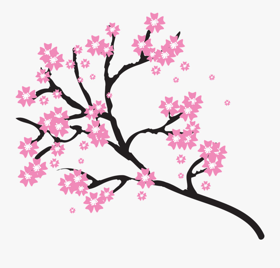 Cherry Blossoms - Cherry Blossoms Clip Art, Transparent Clipart