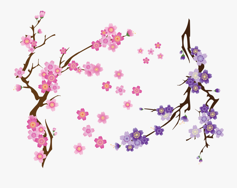 Transparent Cherry Blossom Clip Art - Cherry Blossom Flower Vector Free, Transparent Clipart