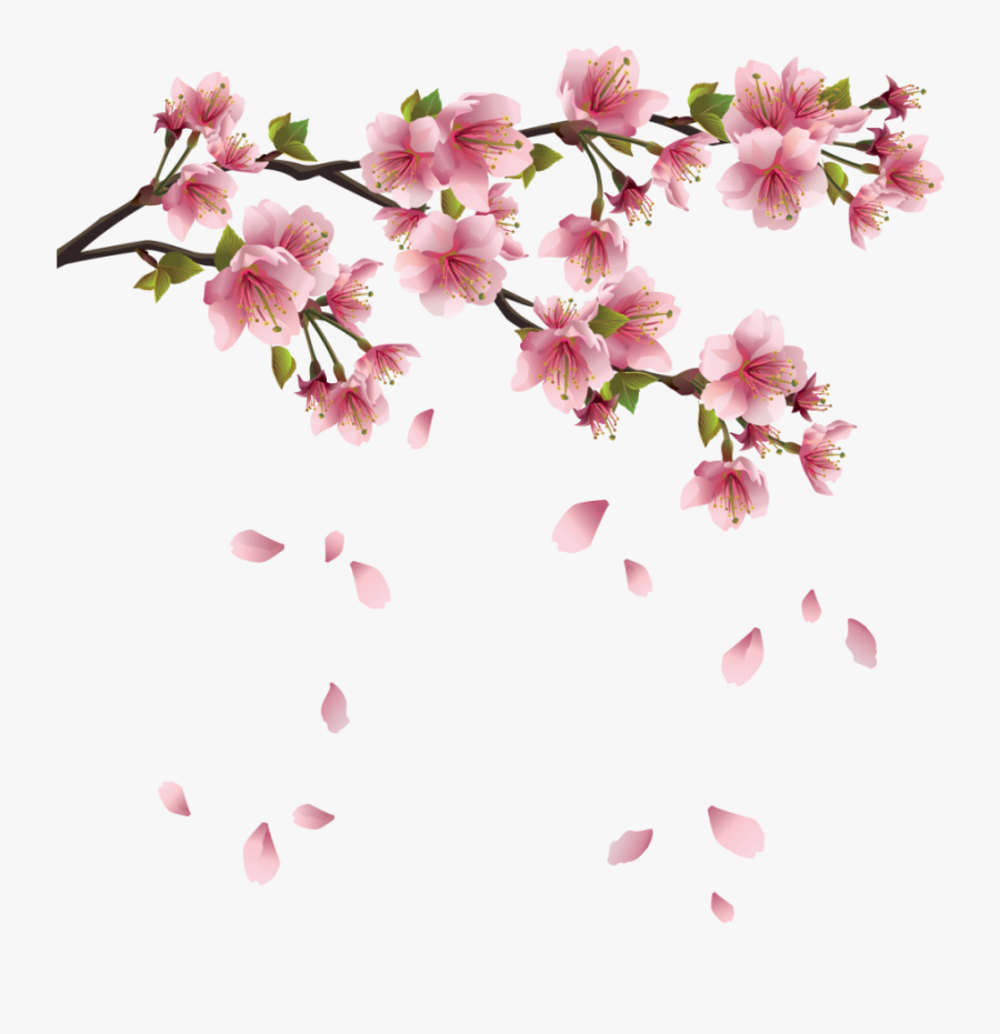 Cherry Blossoms Png - Transparent Sakura Flower Png, Transparent Clipart