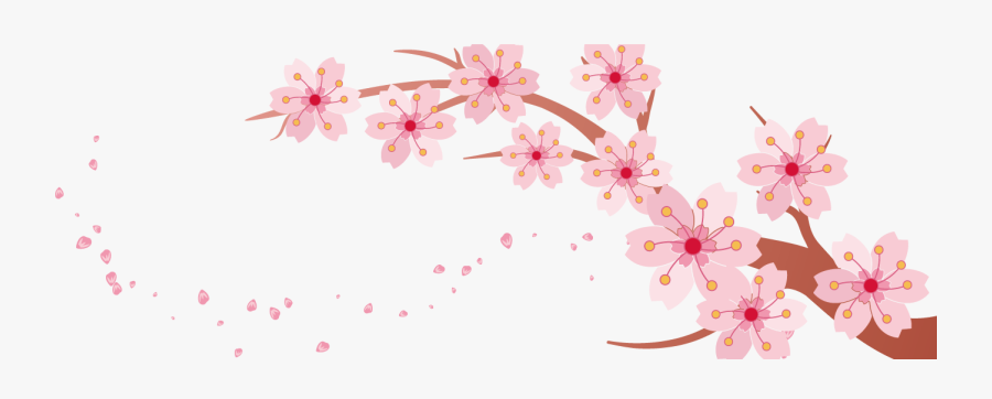 Transparent Banner Clip Art - Cherry Blossoms Transparent Background, Transparent Clipart