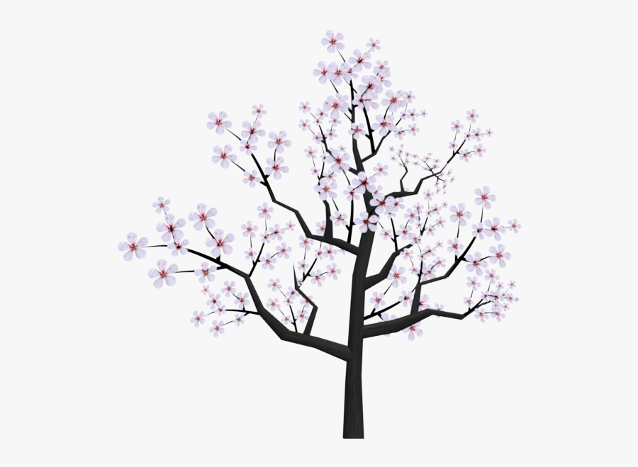 Japanese Cherry Blossom Tree Cartoon, Transparent Clipart