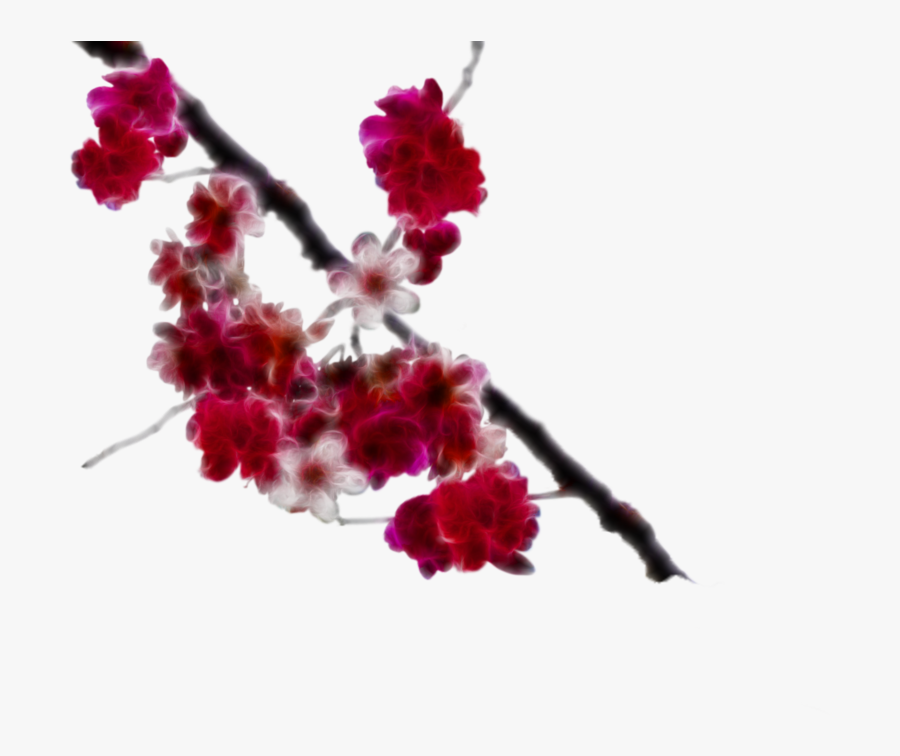 Download Cherry Blossom Clipart - Png Cherry Blossom Painting, Transparent Clipart