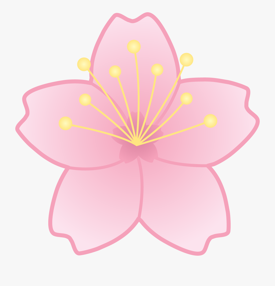 Flower Cherry Blossom Clipart, Transparent Clipart