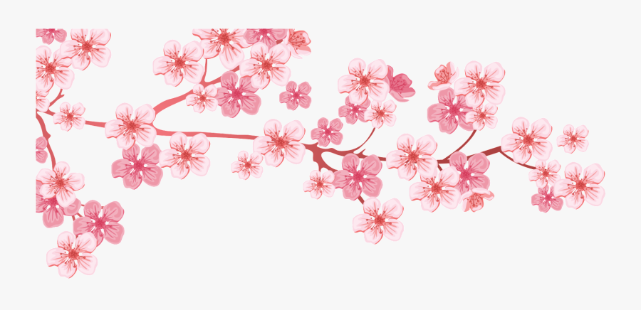 Transparent Cherry Blossom Tree Png - Cartoon Transparent Background Cherry Blossom Tree, Transparent Clipart