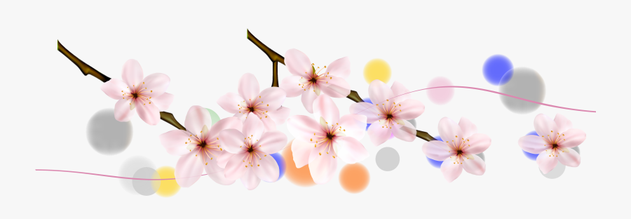 Cherry Blossom Petal Flower - Cherry Blossom, Transparent Clipart