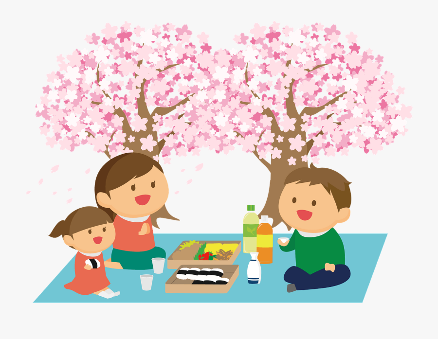 Cherry Blossom Viewing - Cherry Blossoms In Spring Clipart, Transparent Clipart