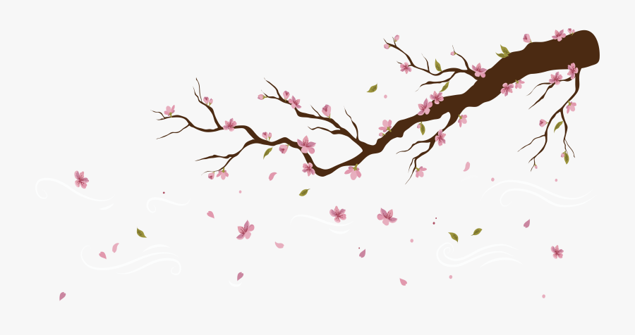 Transparent Sakura Flower Clipart - Falling Cherry Blossom Transparent Background, Transparent Clipart