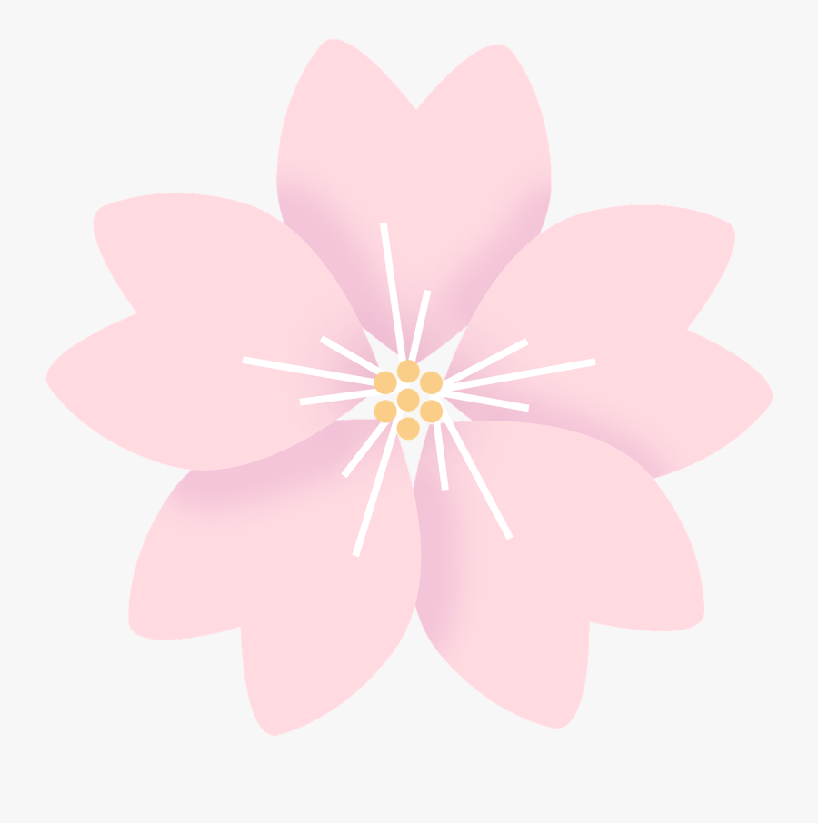 Flowers, Cherry Blossom, Sakura - Flor De Cerezo Png, Transparent Clipart