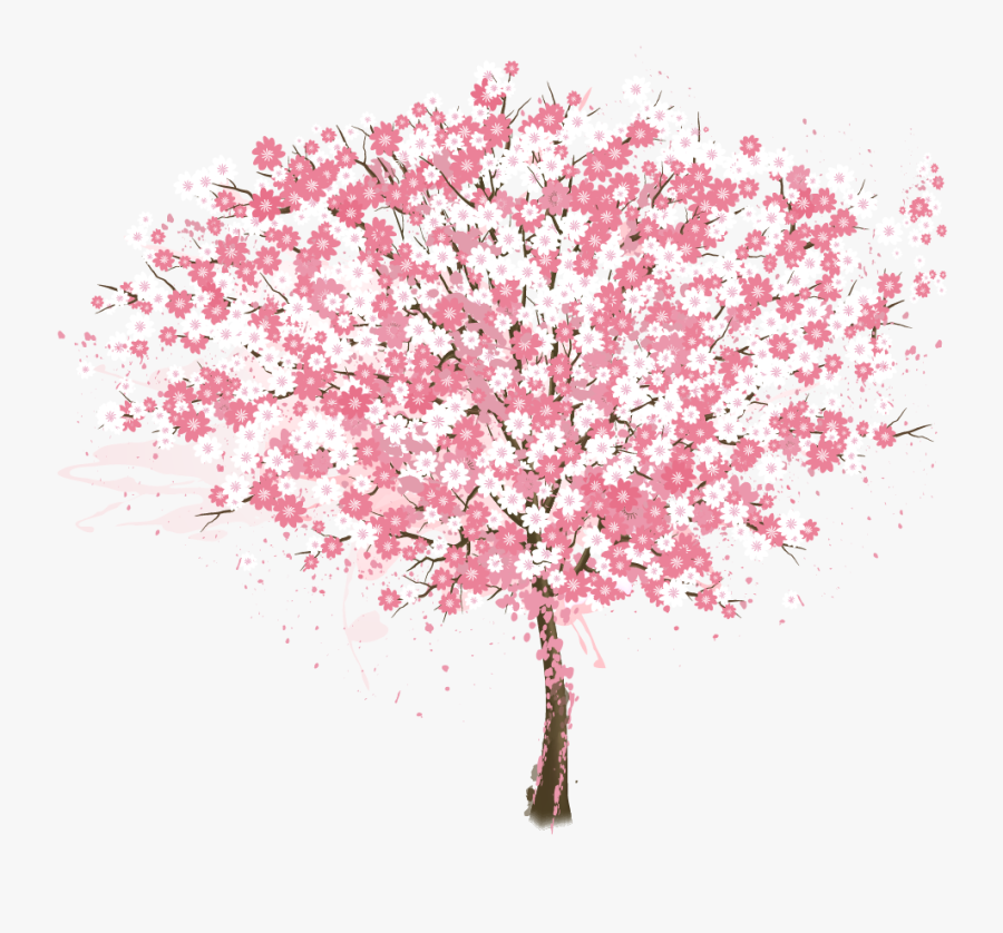 Cherry Blossom Tree - Cherry Blossom Tree Png, Transparent Clipart