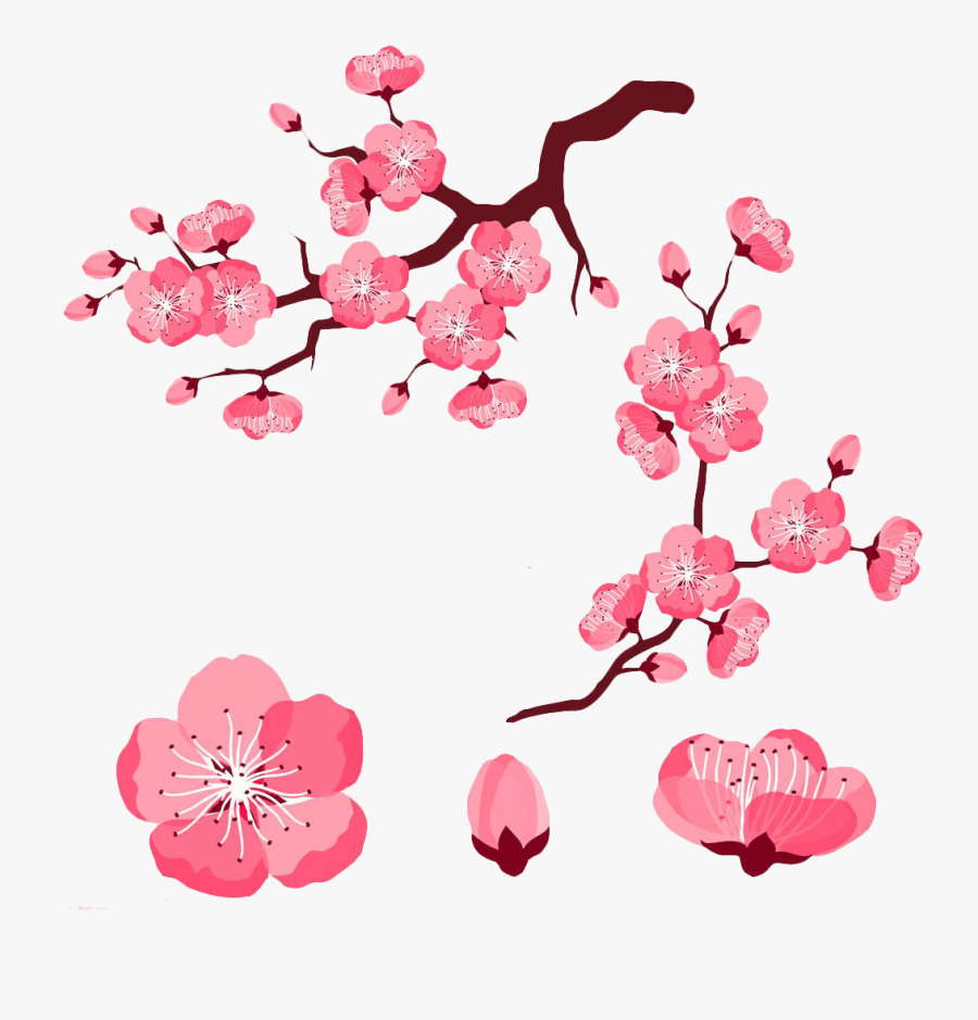 Cherry Blossom Petals Clipart 4 By Jared - Cartoon Cherry Blossoms Flower, Transparent Clipart