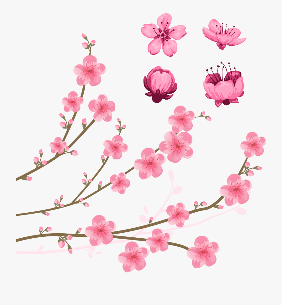Clip Art Collection Of Free Pattern - 桃花 設計, Transparent Clipart