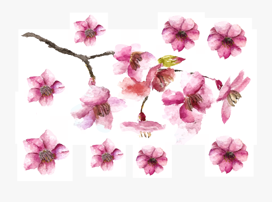 Cherry Blossom Petals And Branch Fake Tattoo, Cherry - Cherry Blossom Step Drawings, Transparent Clipart