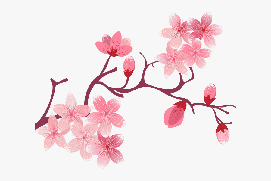 Png Клипарт "spring Floral - Vector Cherry Blossoms Png, Transparent Clipart