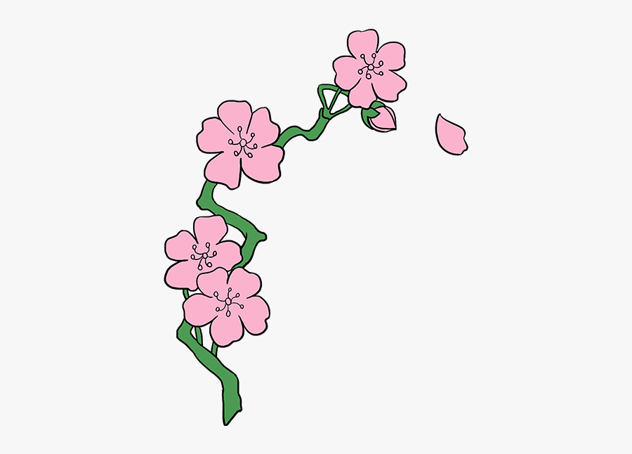 Branch Of Cherry Blossoms, Japanese - Cherry Blossom Drawing Step By Step, Transparent Clipart