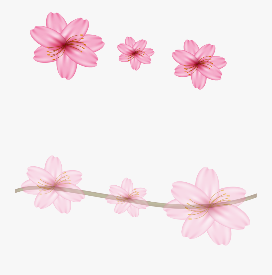 Transparent Sakura Petal Png - Free Cherry Blossom Flower Border Design, Transparent Clipart