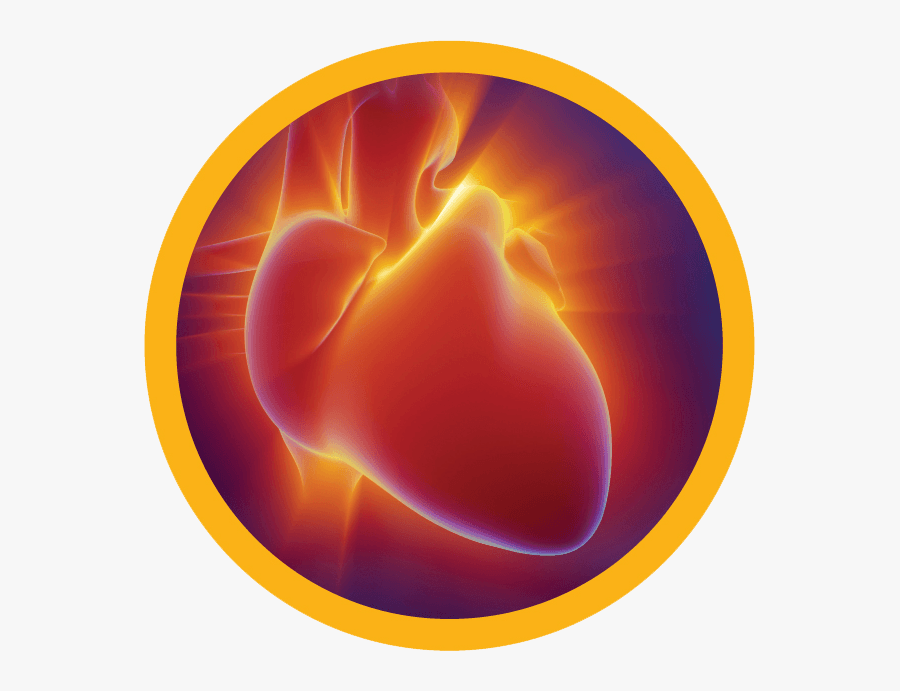 , Arbovirus, Response Biomedical - Blood Cholesterol, Transparent Clipart