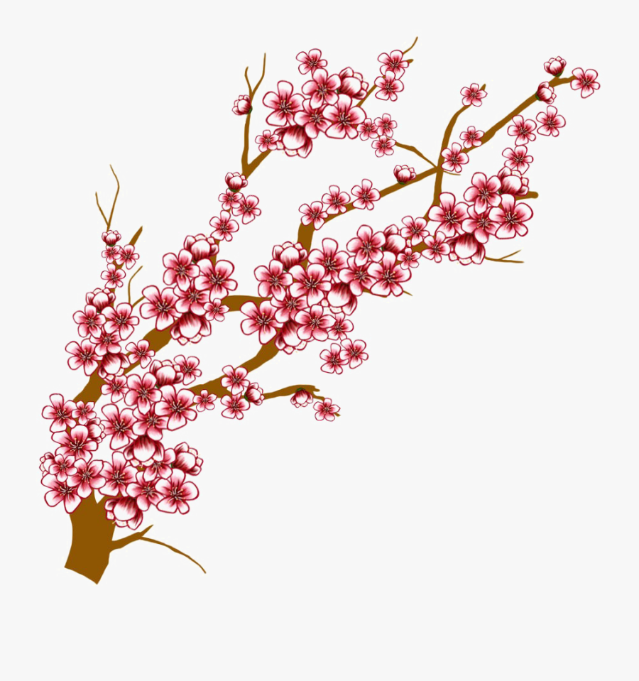 Transparent Cherry Blossoms Clipart - Draw Cherry Blossom Branch, Transparent Clipart