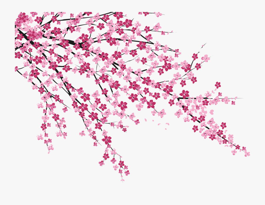 Clip Art Transparent Huge Freebie - Sakura Cherry Blossom Png, Transparent Clipart