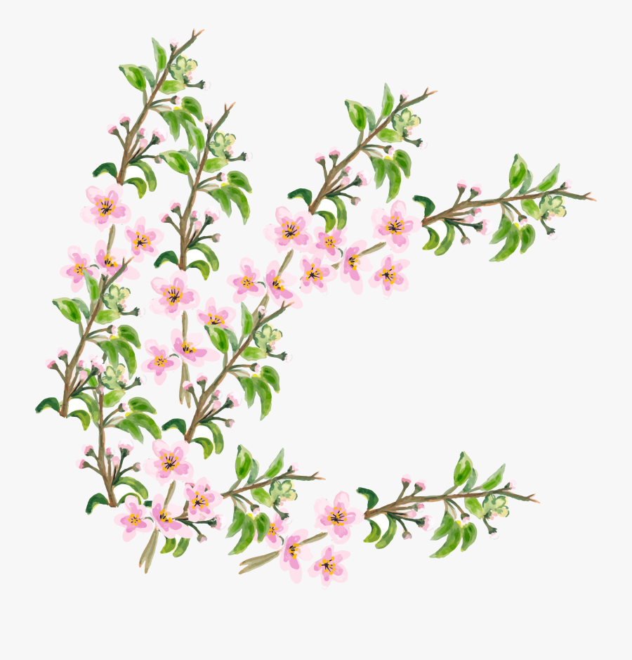 Flower Cherry Blossom - Cherry Blossom, Transparent Clipart
