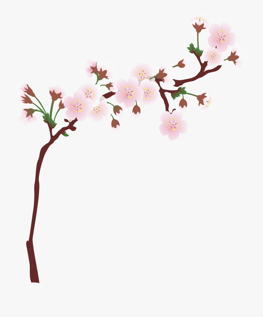 Graphic Library Download Branch Transparent Spring - Cherry Blossom Branch Png, Transparent Clipart