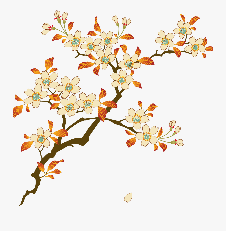 Cherry Blossom Euclidean Vector Flower - Floral Png, Transparent Clipart
