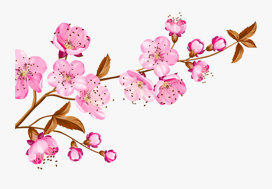 #cherry #blossom #flower #flowers #nature #pink #ftestickers - Thank You For All Your Birthday Wishes, Transparent Clipart