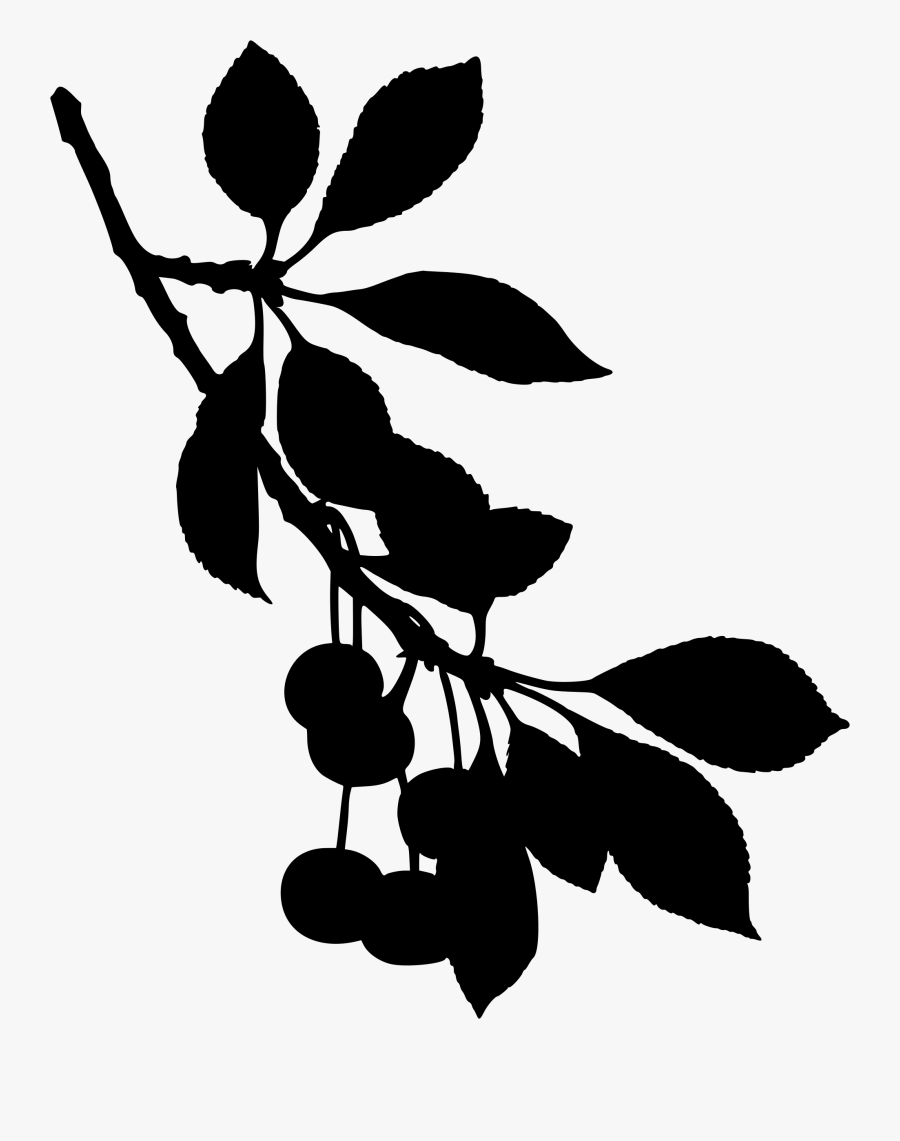 Plant,flora,leaf - Sour Cherry Tree Silhouette, Transparent Clipart