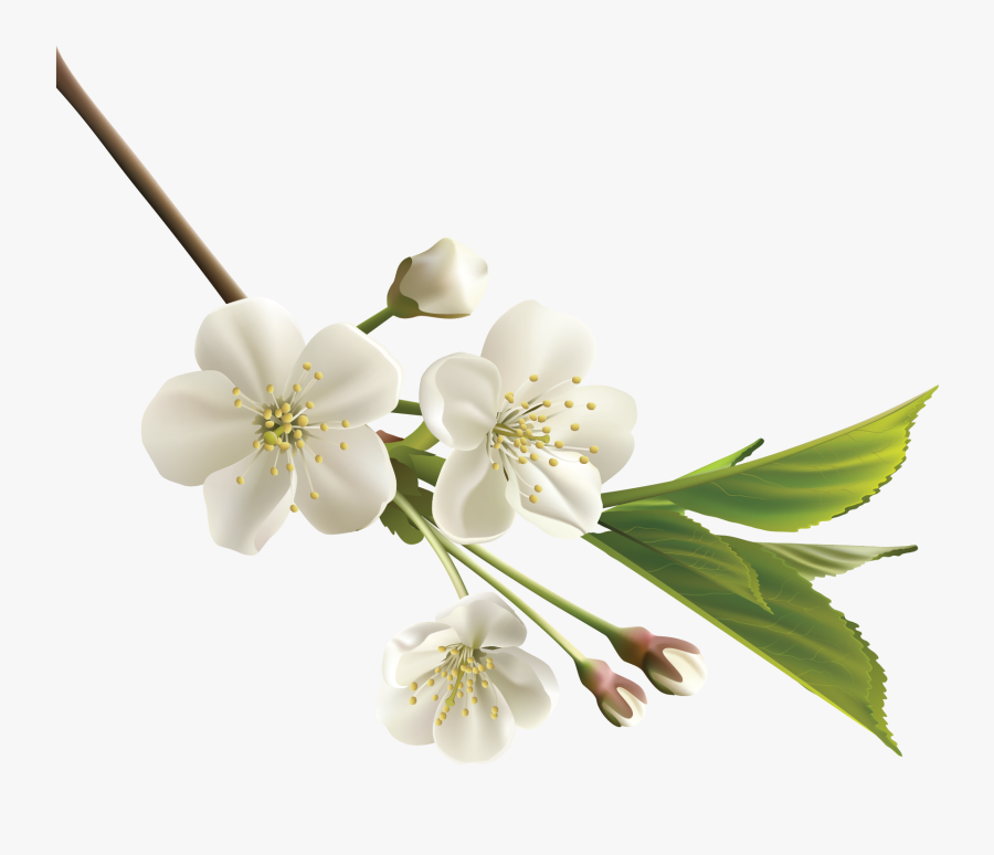 Orange Flower Clipart Realistic Flower - Deepest Condolences To The Family, Transparent Clipart