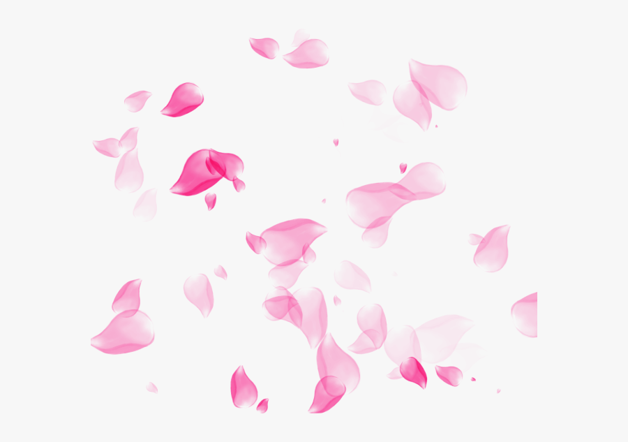 Transparent Cherry Blossom Png - Cherry Blossom Petals Transparent Background, Transparent Clipart