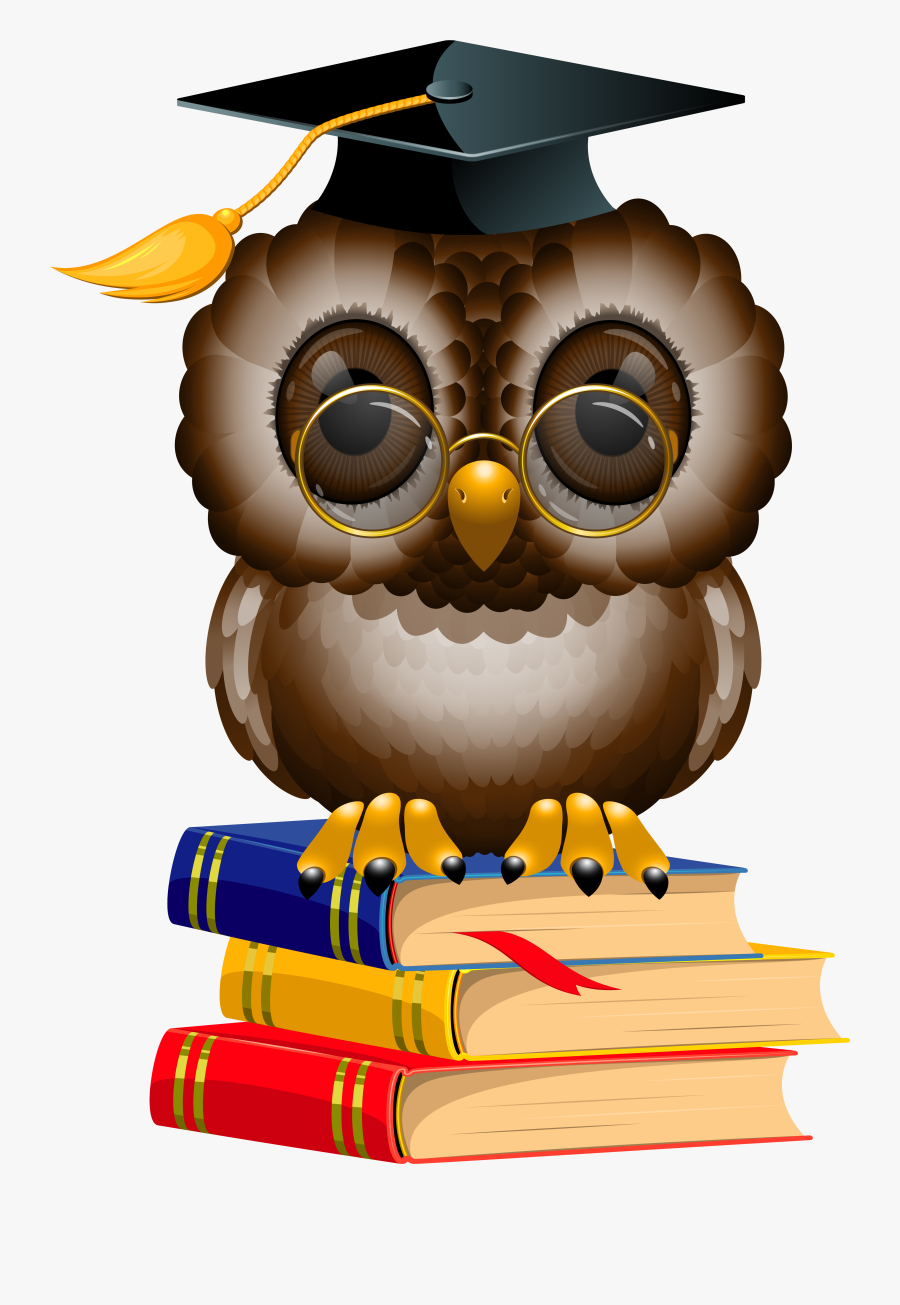 Stack Clipart - Owl With Books Png, Transparent Clipart