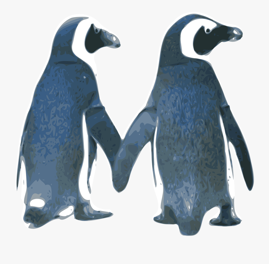 Flightless Bird,king Penguin,animal Figure, Transparent Clipart