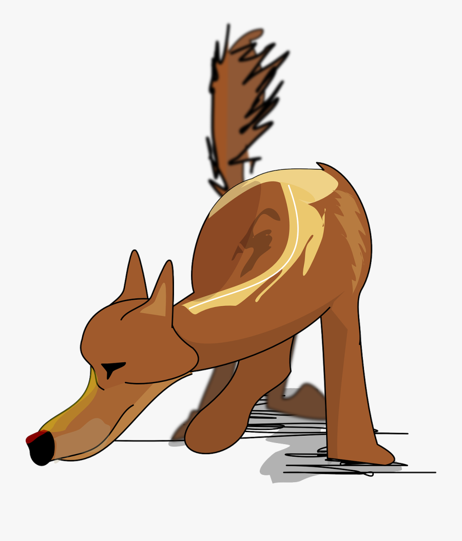 Hot Dog Clip Art Download - San Francisco De Asís Clipart, Transparent Clipart