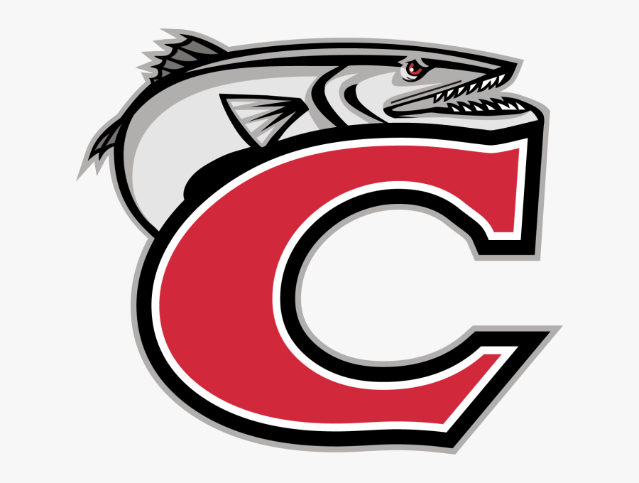 3rd Annual Band On The Run 5k Fundraiser - New Smyrna Beach High School Logo, Transparent Clipart