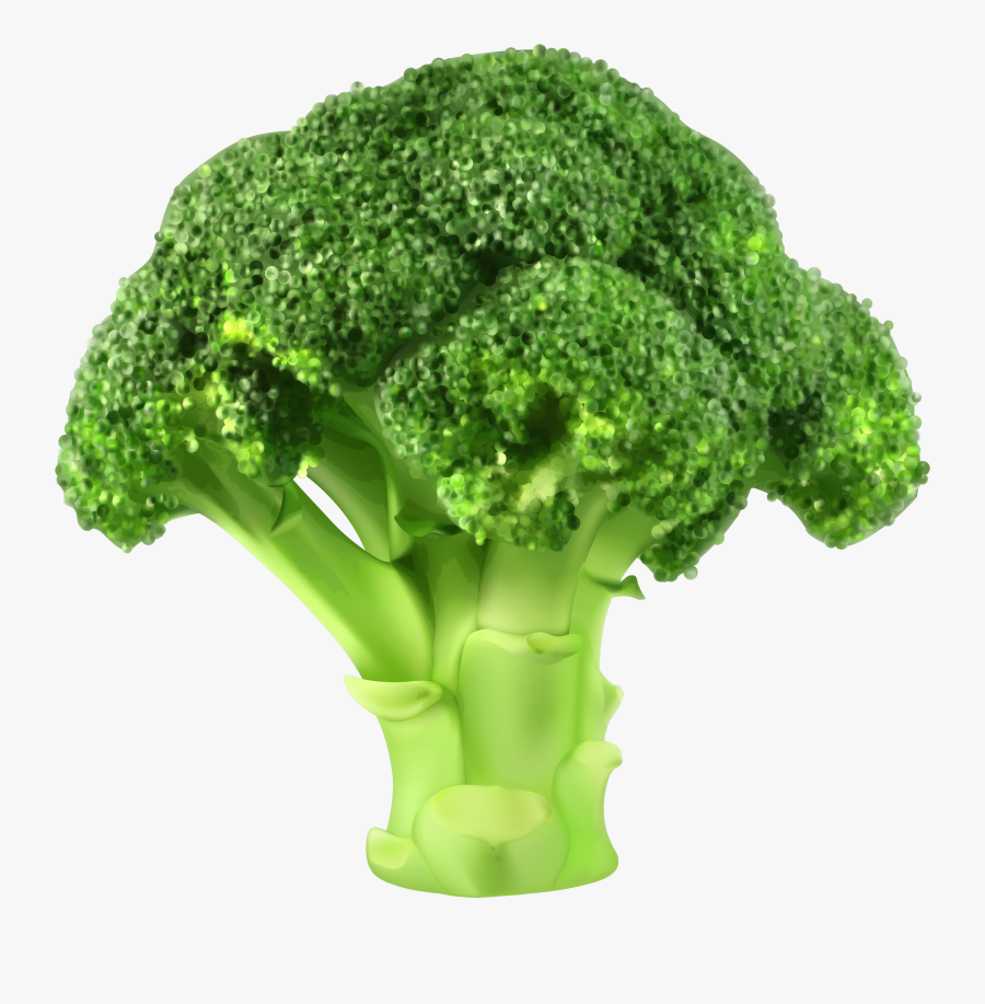 Broccoli Png Clipart - Broccoli Vegetable Clipart, Transparent Clipart