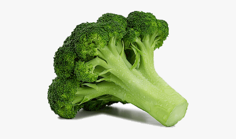 Broccoli Clipart Large - Transparent Background Broccoli Png, Transparent Clipart