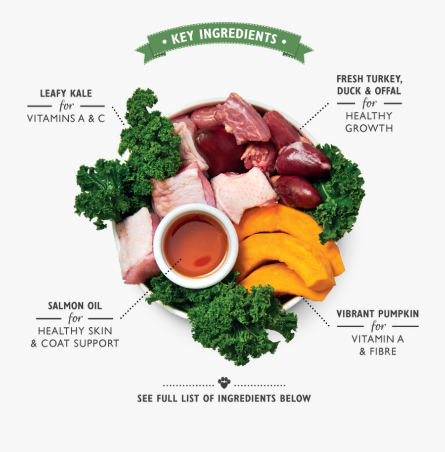 Turkey - Dog Food, Transparent Clipart