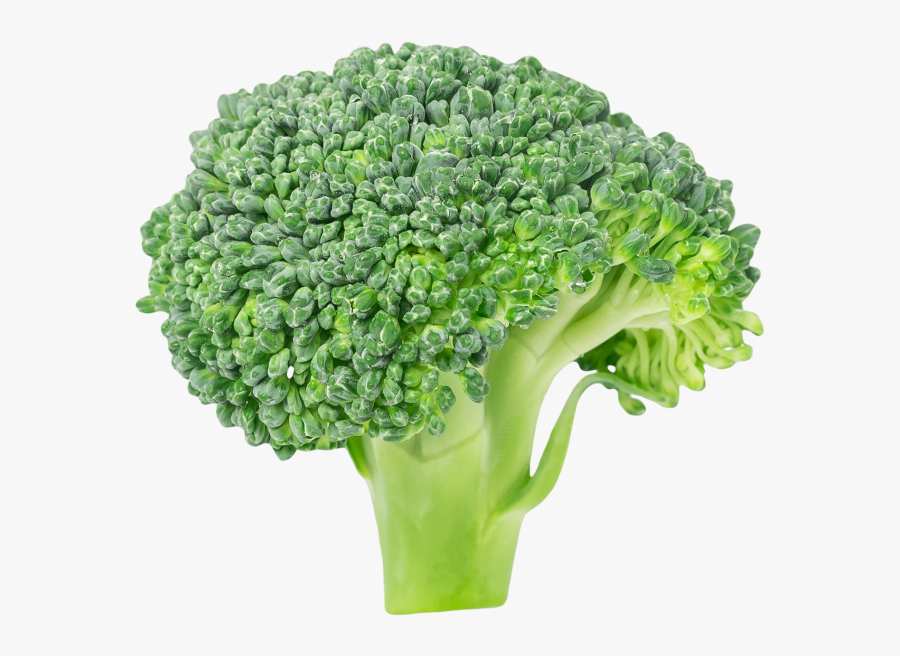 Transparent Broccoli Png - Broccoli, Transparent Clipart
