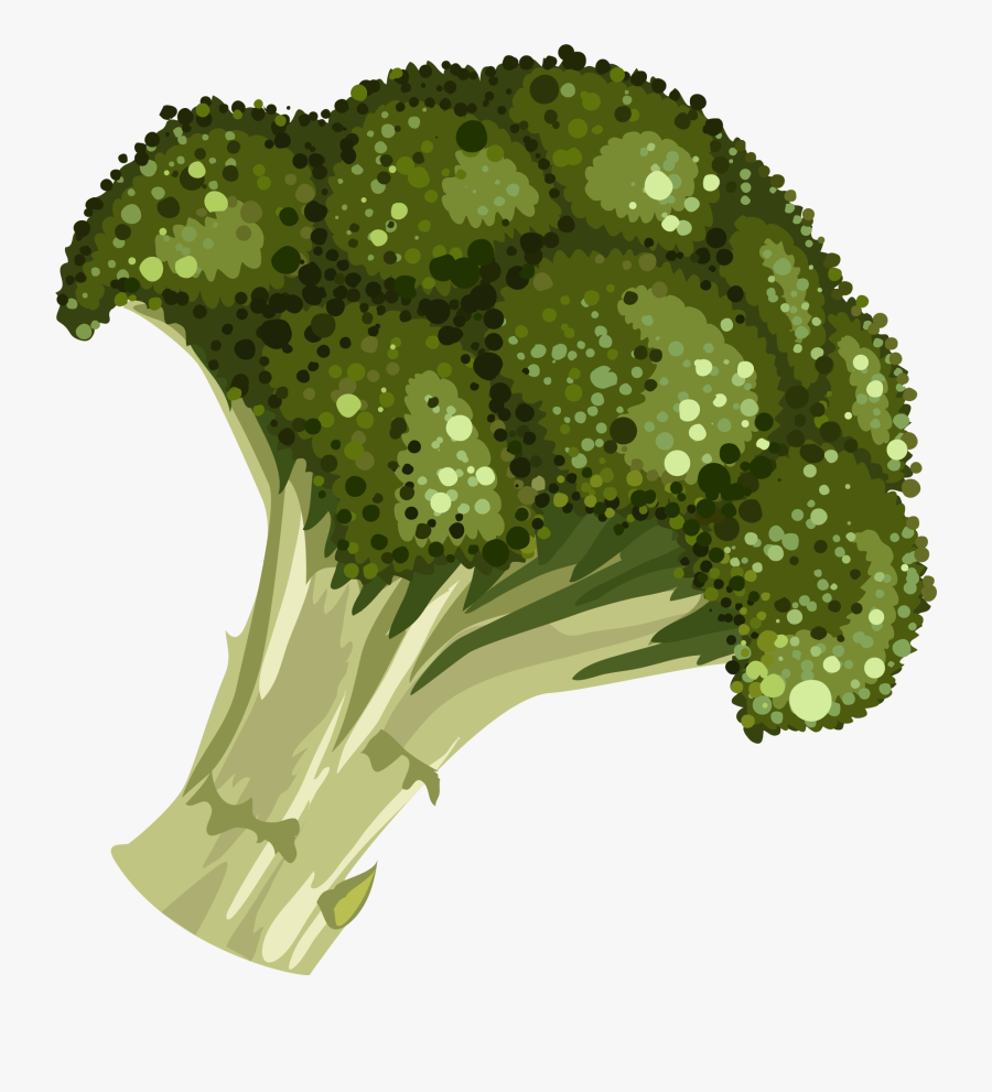 Transparent Broccoli Clipart Black And White - Brocoli Dibujo Png, Transparent Clipart