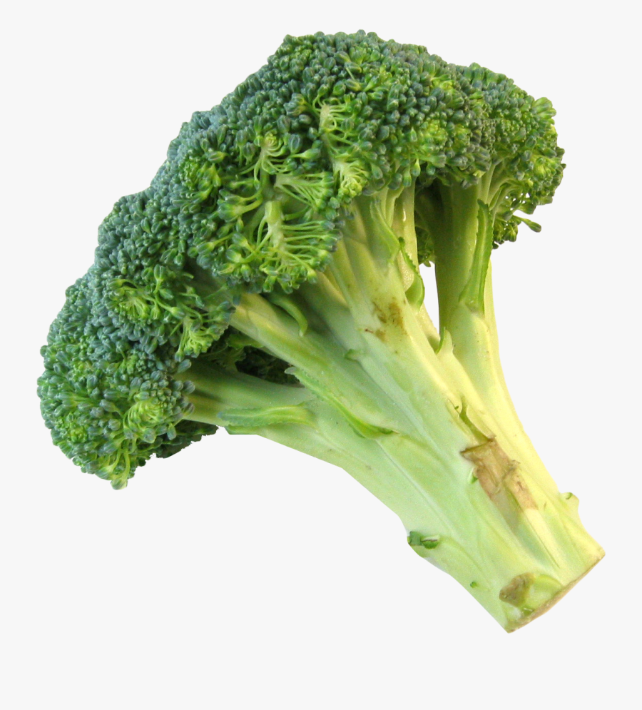 Fresh Broccoli Image Purepng - Broccoli Transparent, Transparent Clipart