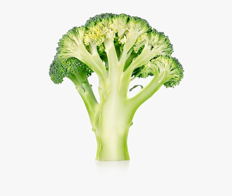 Broccoli Image Free Pictures - Transparent Background Broccoli Png, Transparent Clipart