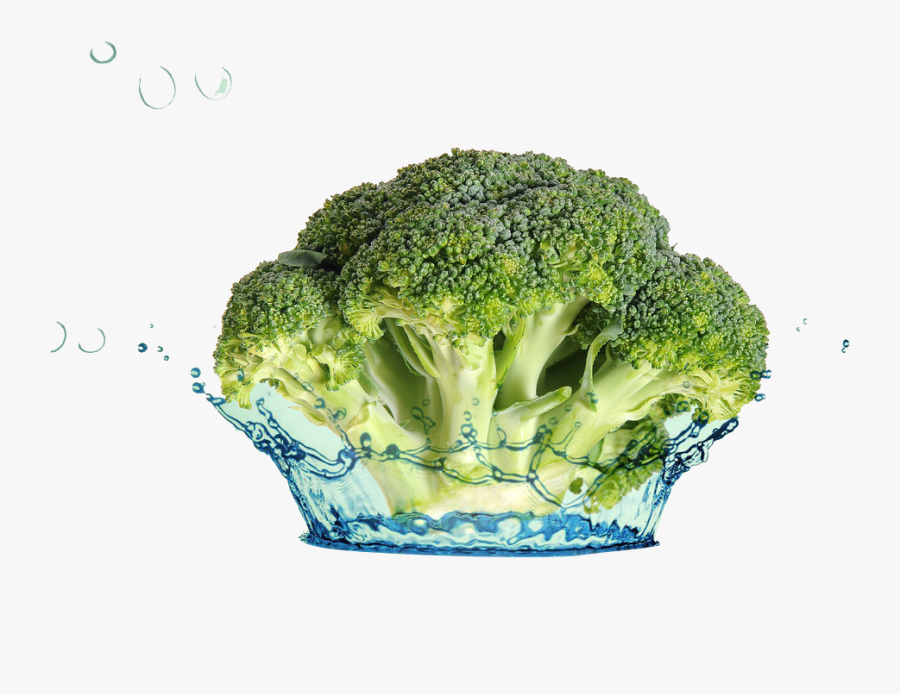 Broccoli - Italica Group, Transparent Clipart