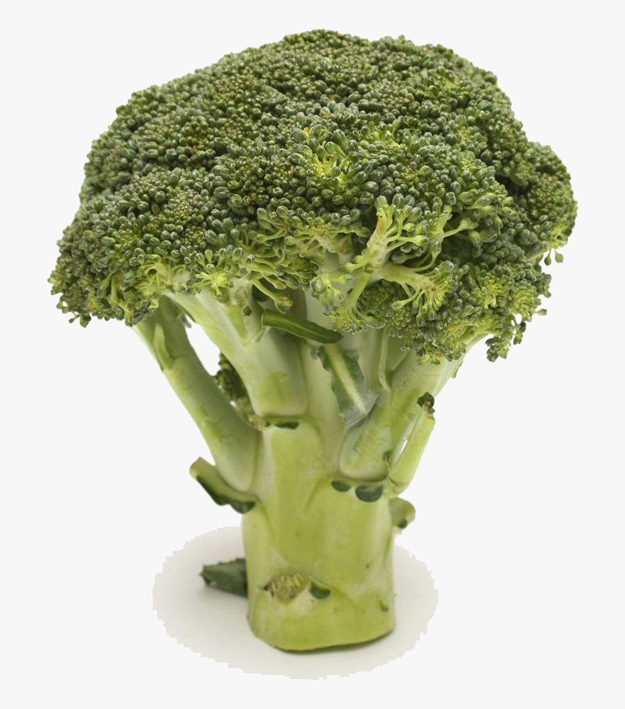Broccoli Vegetable Food Health Cauliflower - Hide Broccoli In Milk, Transparent Clipart