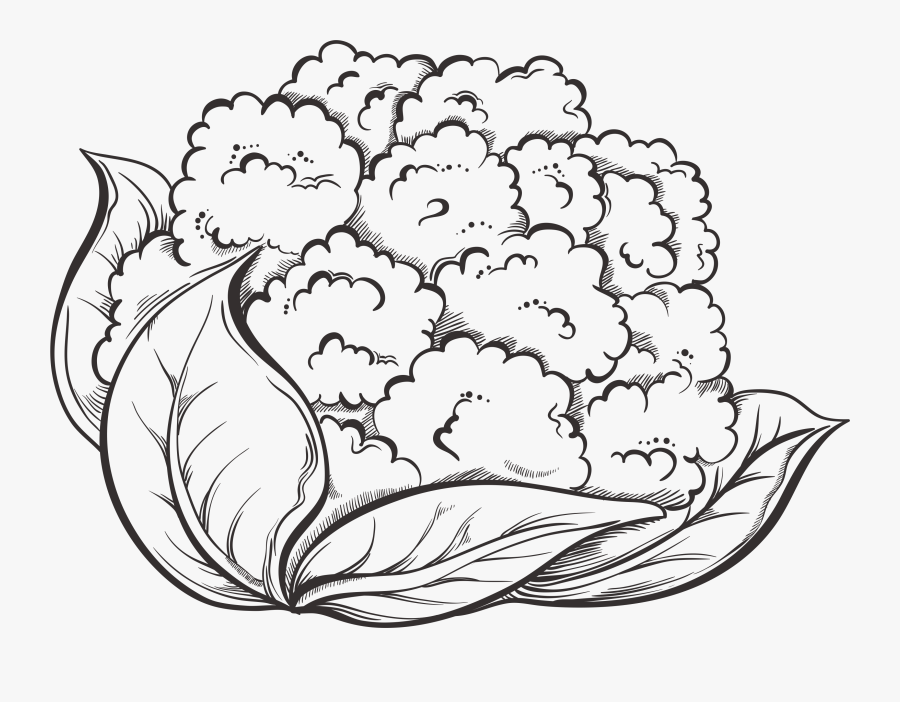 Clip Art Cauliflower Vegetable Broccoli Hand - Cauliflower Black And White, Transparent Clipart