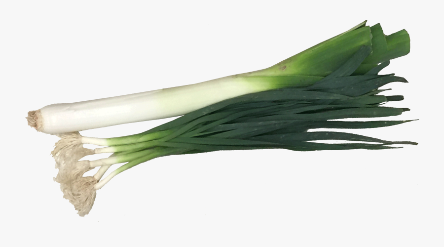 Vegetable Leek Png Clipart Background - Leeks Transparent, Transparent Clipart