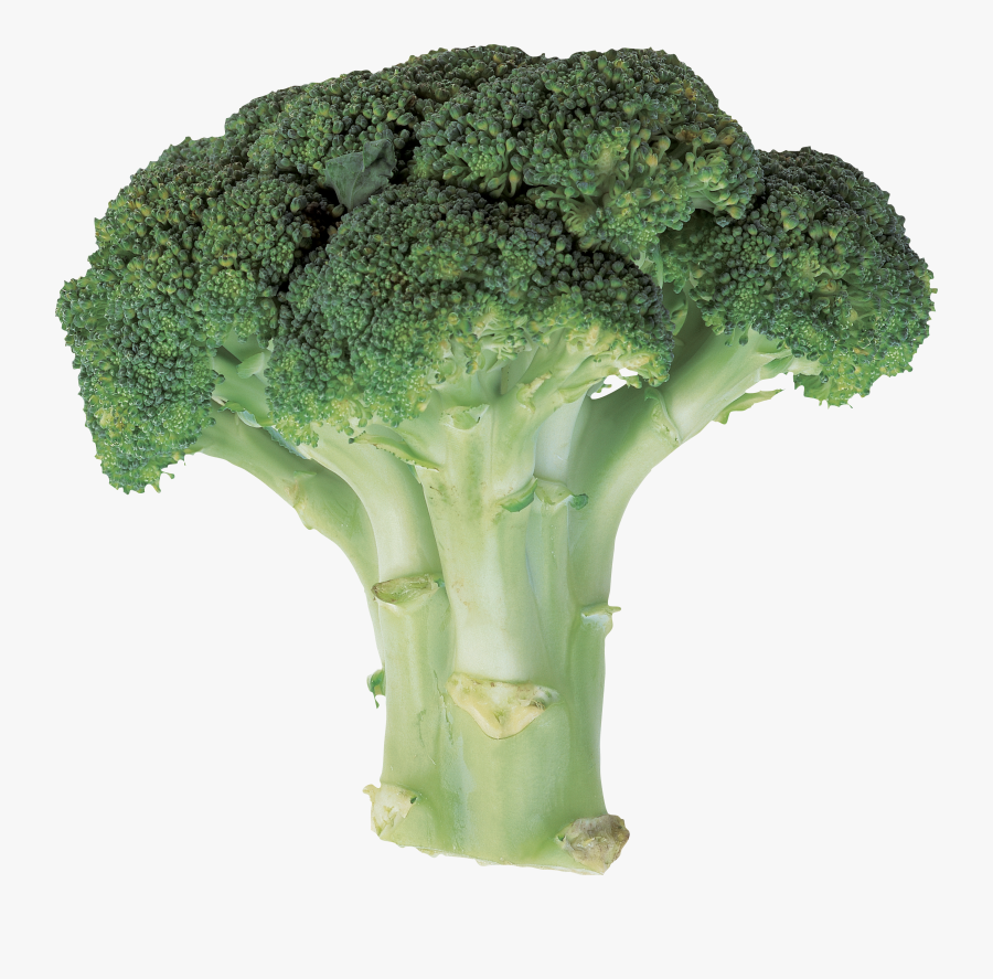 Broccoli Png - Brooklee Vegetable, Transparent Clipart