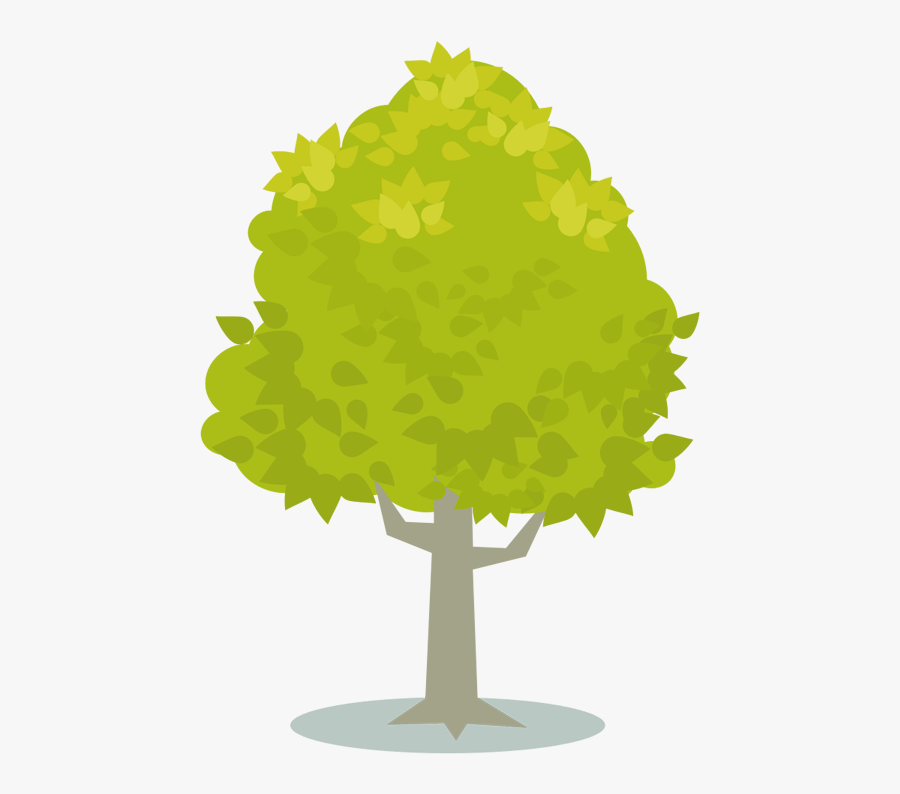 Plant,leaf,tree - Arvore Em Desenho Png, Transparent Clipart
