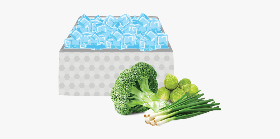 Clip Library Library Pre Cooling Methods For - Ice Cooling Of Fruits And Vegetables, Transparent Clipart