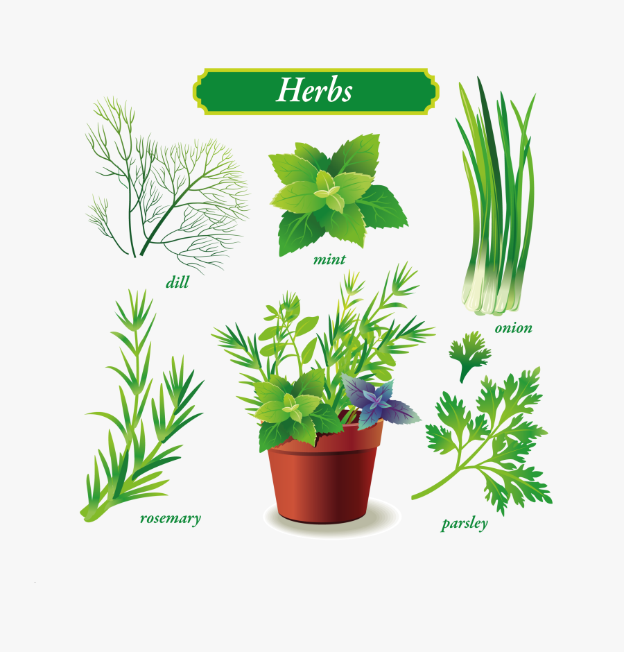 All Kinds Of Green Vegetables, Transparent Clipart